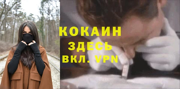не бодяженный Кукмор